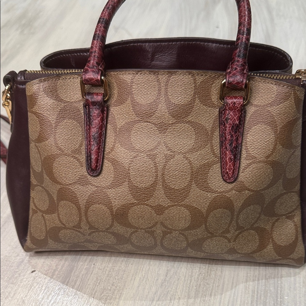 Coach Mini Rowan Sage Snake Carryall Satchel/Crossbody Bag π - Picture 4 of 14